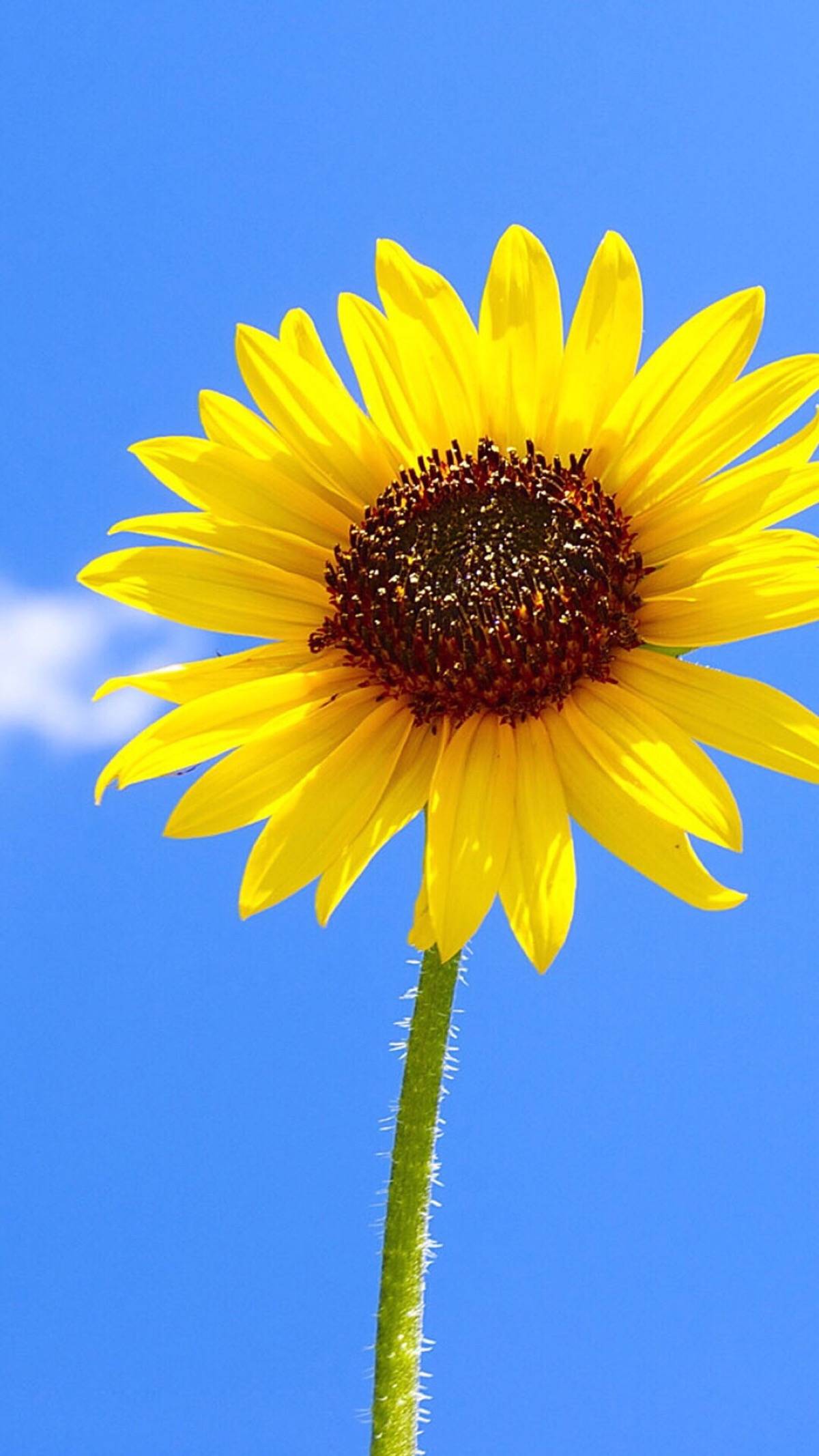 我的世界早也拥有你的一片天