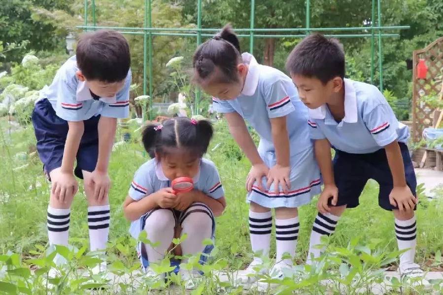 进行|苏州再添16所市优质幼儿园！有你家附近的吗？