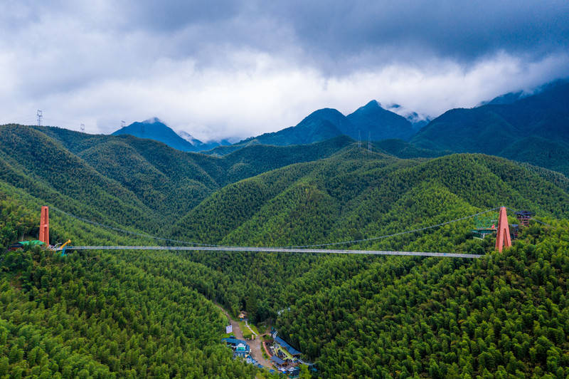 游卧虎藏龙取景地,安吉中国大竹海!_竹林