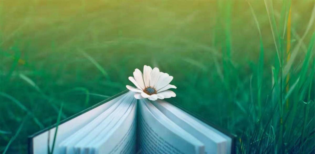 本人|女人的格局,决定着你的“结局”,3点教大家拓展自己的格局