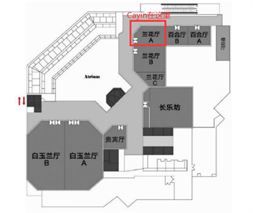 真空管|侬好，上海！