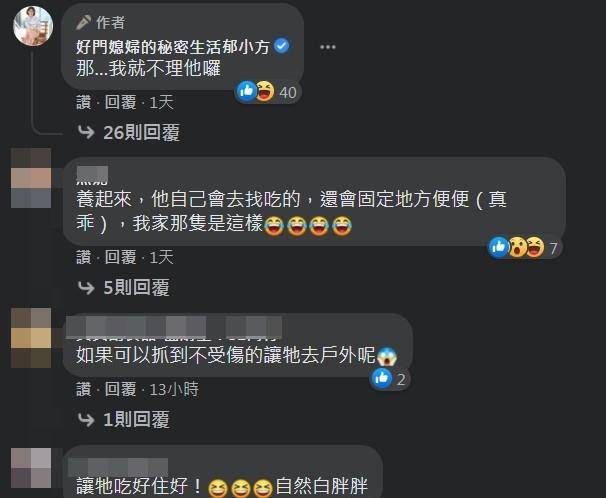 家里有小壁虎怎么办