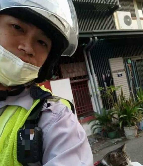 猫咪狸花猫霸占了警察叔叔的坐骑，因妨碍公务被“带回警局拘留”了