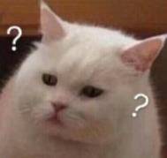 令牌|不得不说，就连杨紫也挽回不了这档综艺节目了