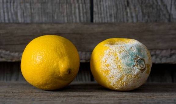 睡眠|最伤肝的食物已公布，不是饮酒，转告家人：这种“水果”要少吃