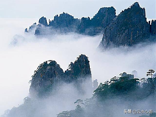 张养浩登临泰山，抒写了一首七律，开篇生动有趣，颈联更充满哲理
