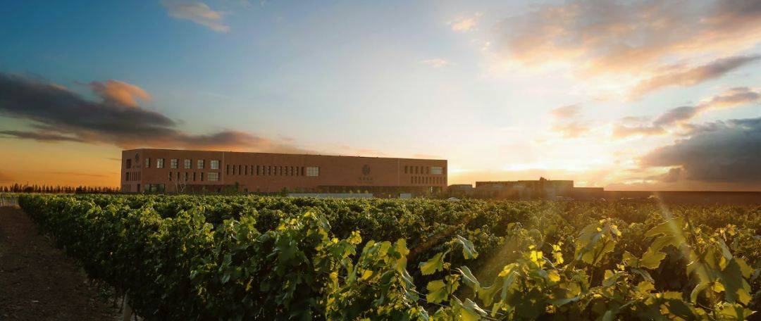 乐力|宁夏醉贵的红酒都来自哪些酒庄?丨中秋酒庄游