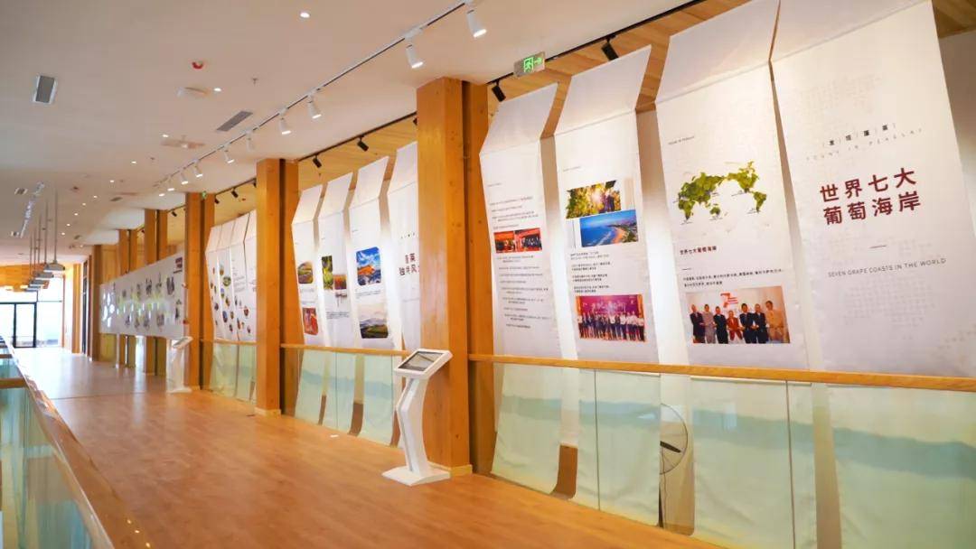 文化|蓬莱丘山谷——烟台葡萄酒产区全面起势