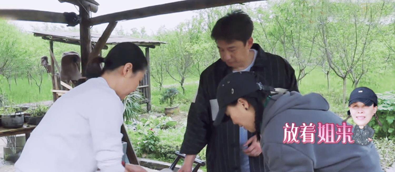 生活|那英在《向往》夸张艺兴可爱，在《萌探》说杨紫“不得好死”？