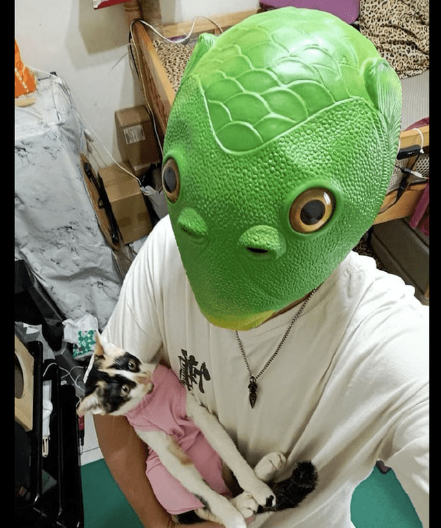 网友戴着面具抱着猫,它并不害怕甚至想吃一口:我该从哪里下嘴?