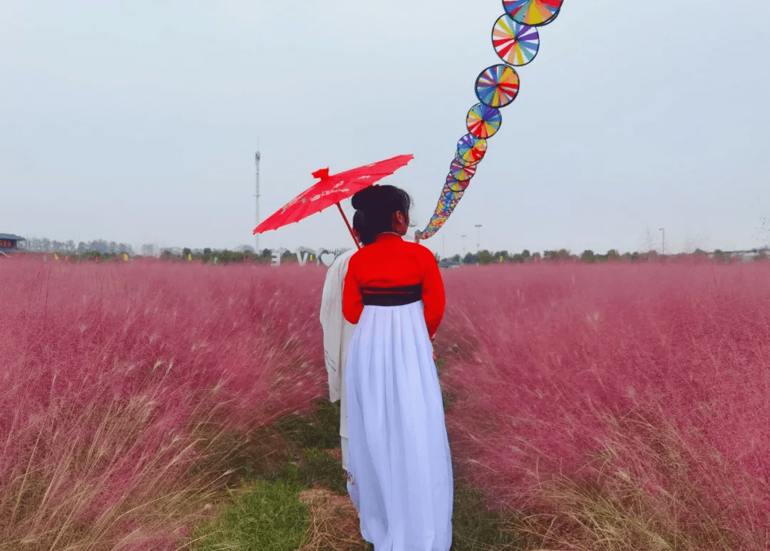 平舆蓝天芝麻小镇今年的秋天让人怦然心动浪漫花海快去打卡吧