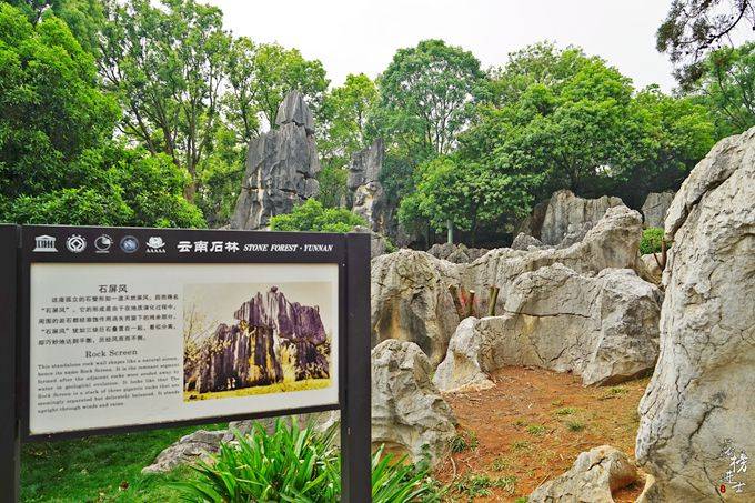 云南昆明最早的“网红”景点，有上亿年历史，还是传说中阿诗玛的故乡