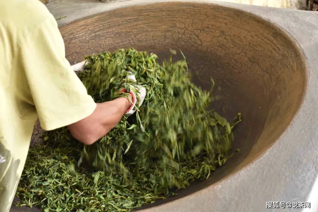 程度|有人说喝新茶会上火，是真的吗？