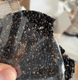 海苔|我国5款“传统糕点”，风味独特，好吃却不贵，老人孩子也爱吃