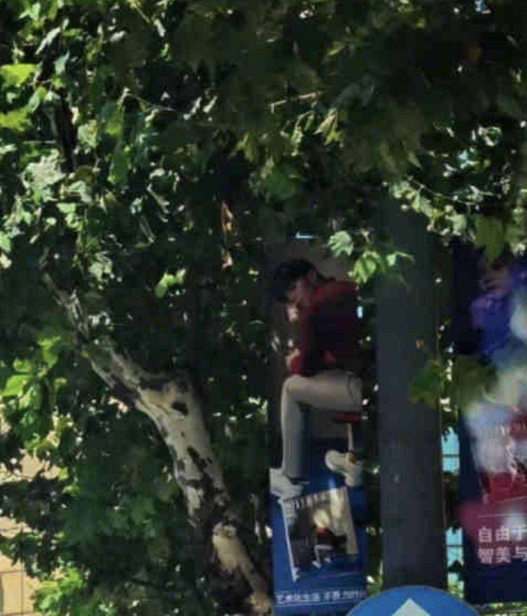 树上有个好地方搞笑版 6268ffcfd1cd49df89509d3459fa704b.jpeg