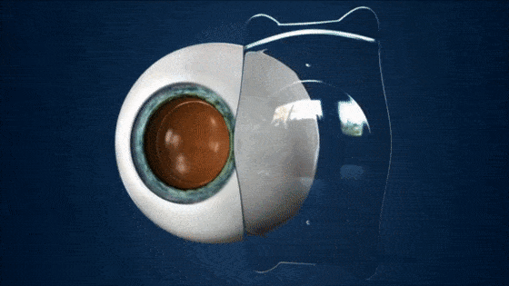 28db0c064029475db58dc16589b06292.gif