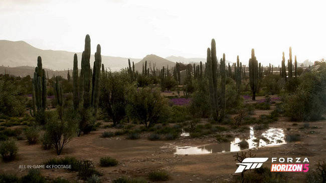 《极限竞速：地平线5》最新演示放出，沉浸式环境体验