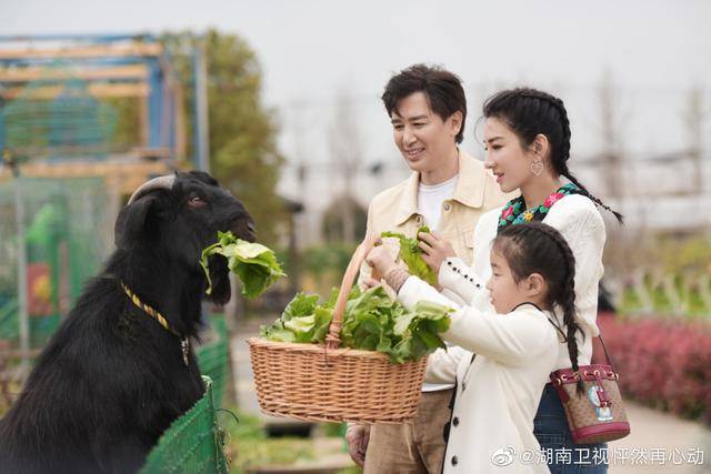 崔伟|《怦然再心动》黄奕女儿懂事情商高,8岁成妈妈追爱路上最强助攻2