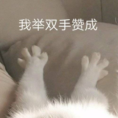 03022d3578324a3aa88b22560aa7415d.jpeg