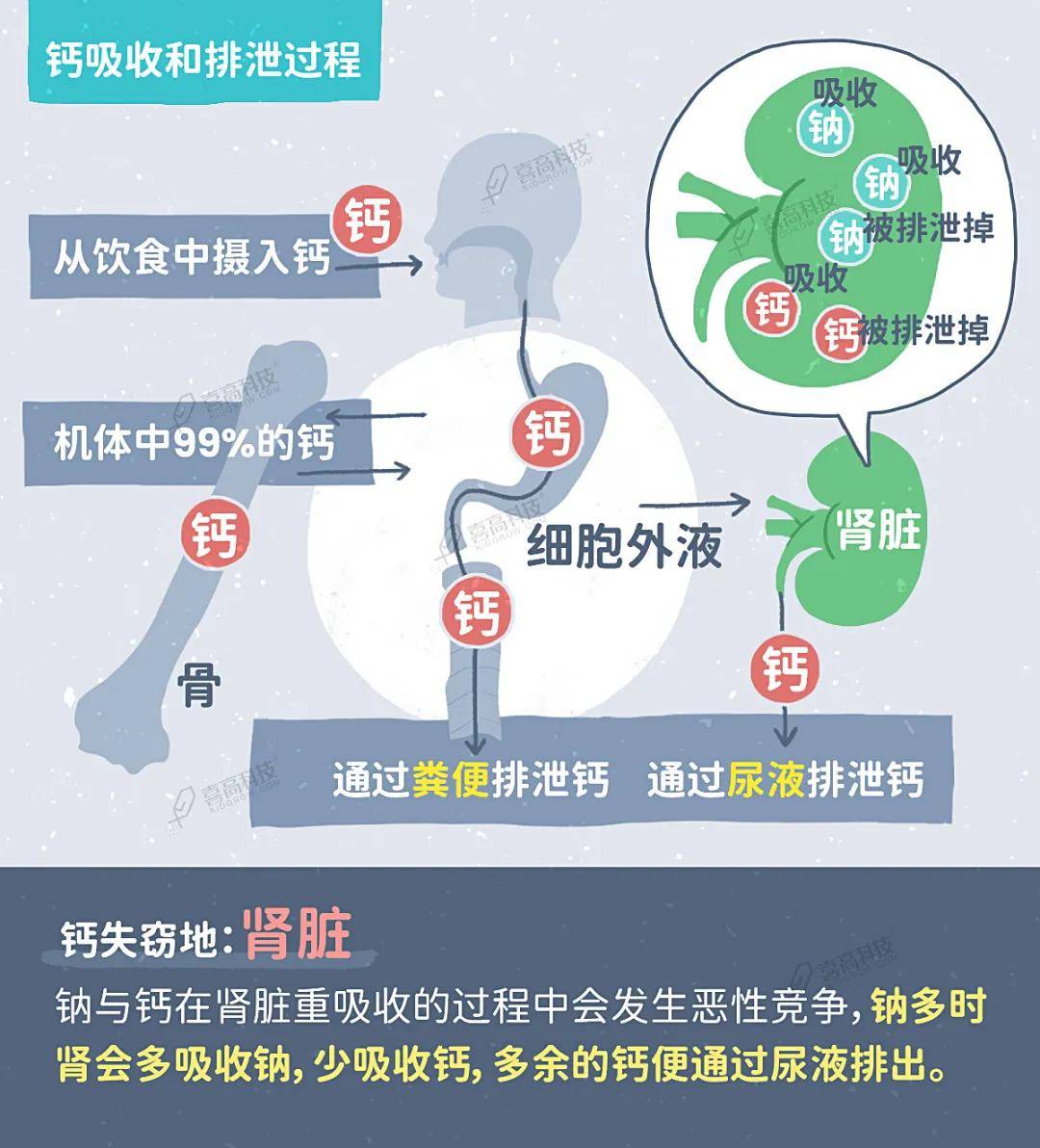补钙不注意这4点，喝再多牛奶都没用！