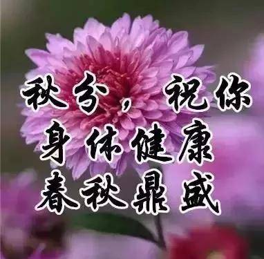 秋分時節,秋寒漸襲,再累也要休息,多多保重身體.