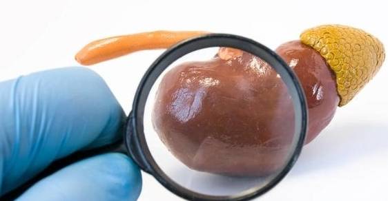 诊断|蛋白尿难消除有6个原因,医生给肾友3条建议,收藏