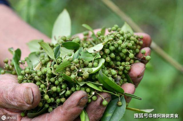 菜椒炒肉菜椒的切法_炒蔥椒雞_炒蔥椒雞是哪里的菜