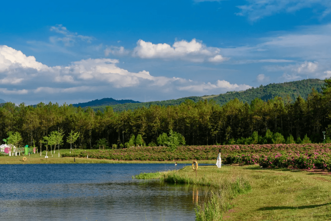 景区|攻略丨腾冲曲石界头A级景区大盘点