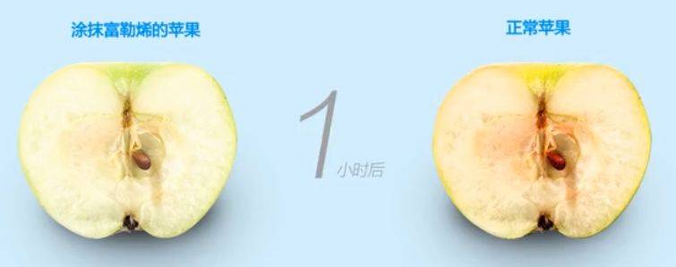 原液水媚蛙：导致皮肤衰老的两大主要原因