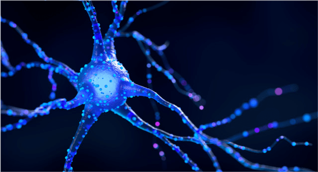 血液|红花双酸里有什么?怎么降血糖?