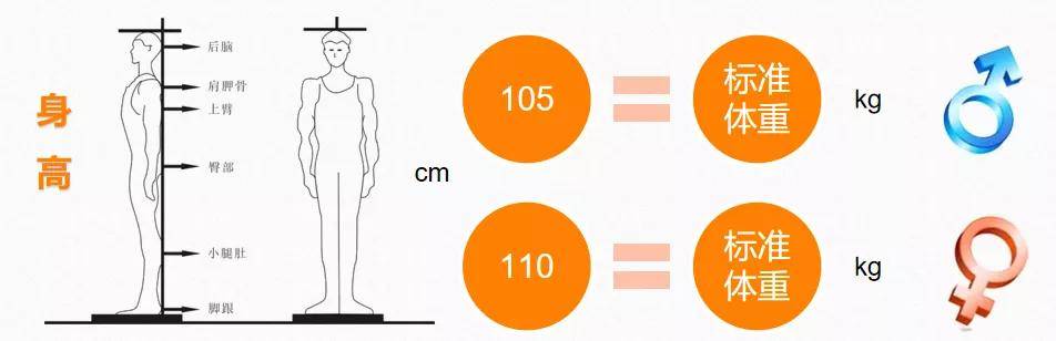 bmi计算公式:bmi=体重(㎏)÷ 身高(m)2肥胖:28 ≤ bmi3.