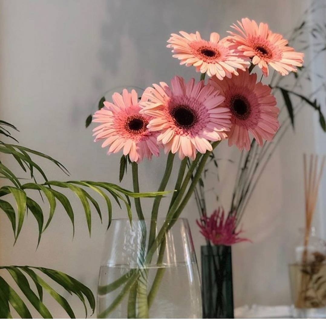 开业用什么花篮最合适 979ee6d8f01e4c578707f837c2350ed8.jpeg