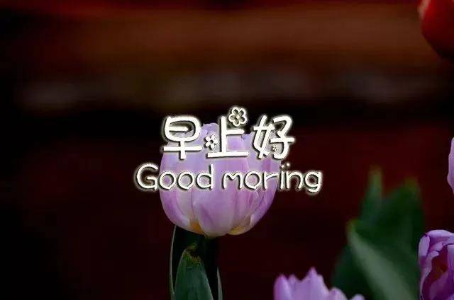 因为|9月25日秋季清晨问候朋友早上好的暖心祝福，最美早晨好群发动态美图