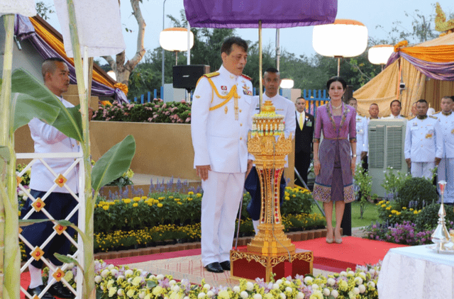耳坠 诗妮娜又穿高贵紫，印花裙配黑珍珠耳坠彰显贵气，却无资格坐御车