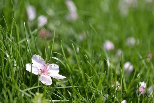 严重【新依美护肤】不同季节的换季对皮肤的影响