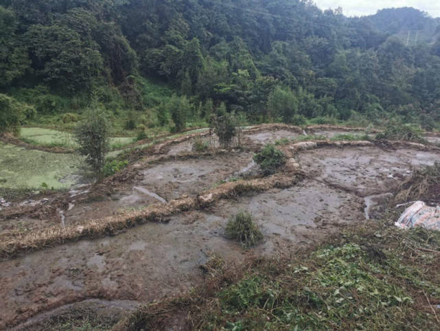 喻勇|珙县上罗镇数百村民生活用水被养猪场污染，何日能喝上放心水？