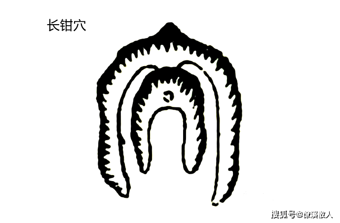 寻龙点穴之钳形穴