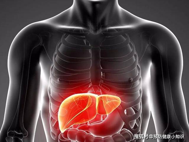 如何检查自己的肝功能是否正常 87ab4376038c4ddb864ea3c155d955fe.jpeg