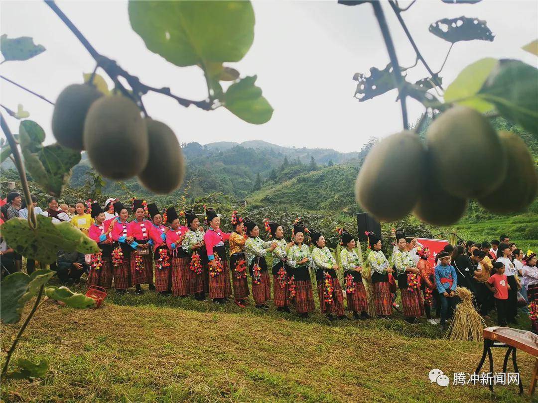 日子|云南腾冲：一林秋色天地远