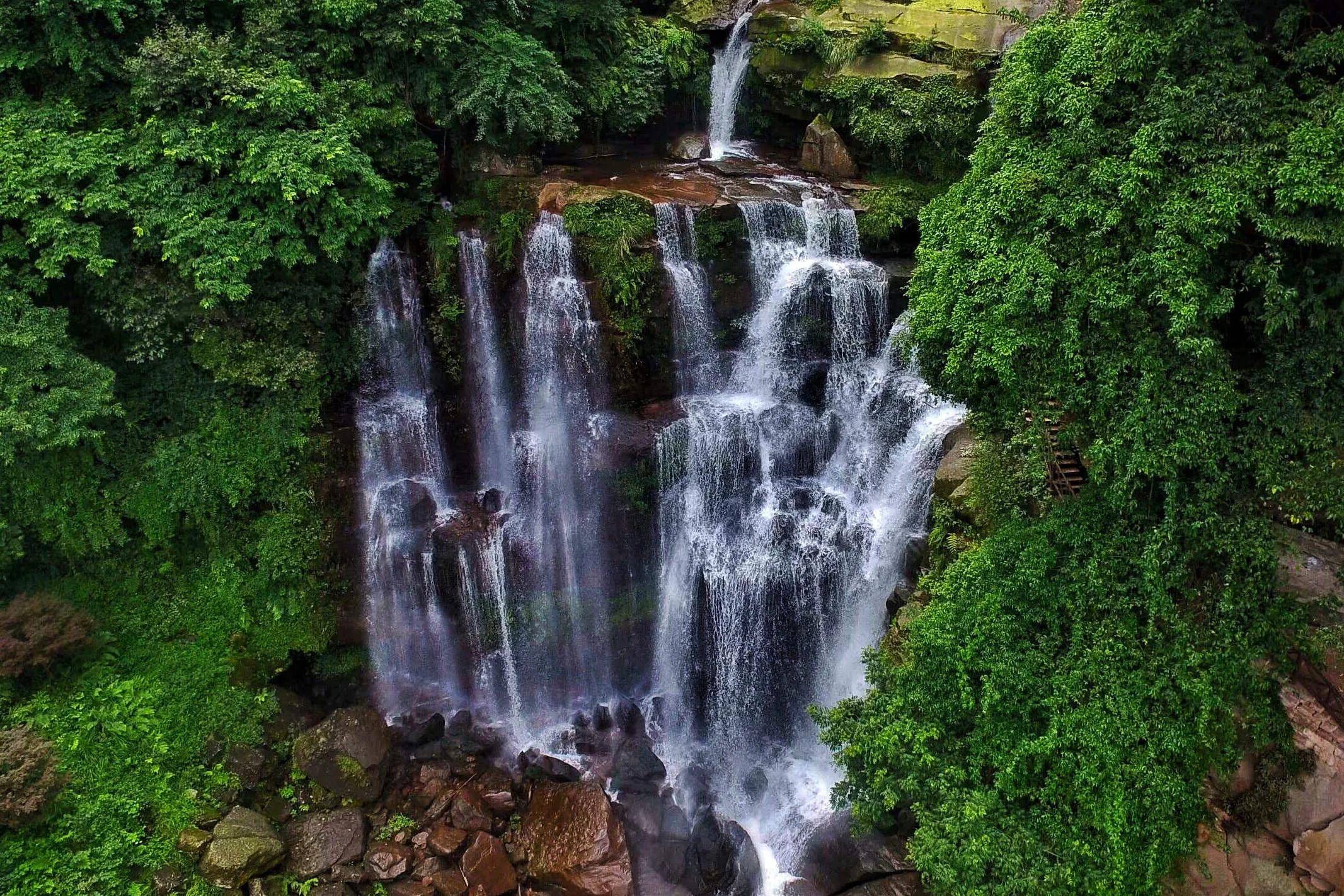 國慶節,打卡邛崍天台山元氣森林,看螢火蟲漫天飛舞