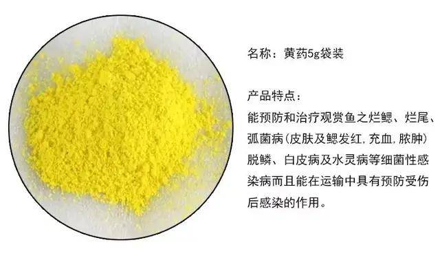 甲醛|老公买的这种鱼，差点害老婆流产！医生怒斥：你怎么敢买它