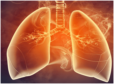 静脉|肺奇叶 ▏宝贝突现“变异”，我该如何是好？