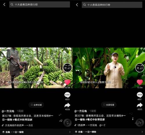 455ebf22452c4263a036bffc70cd74fe.jpeg
