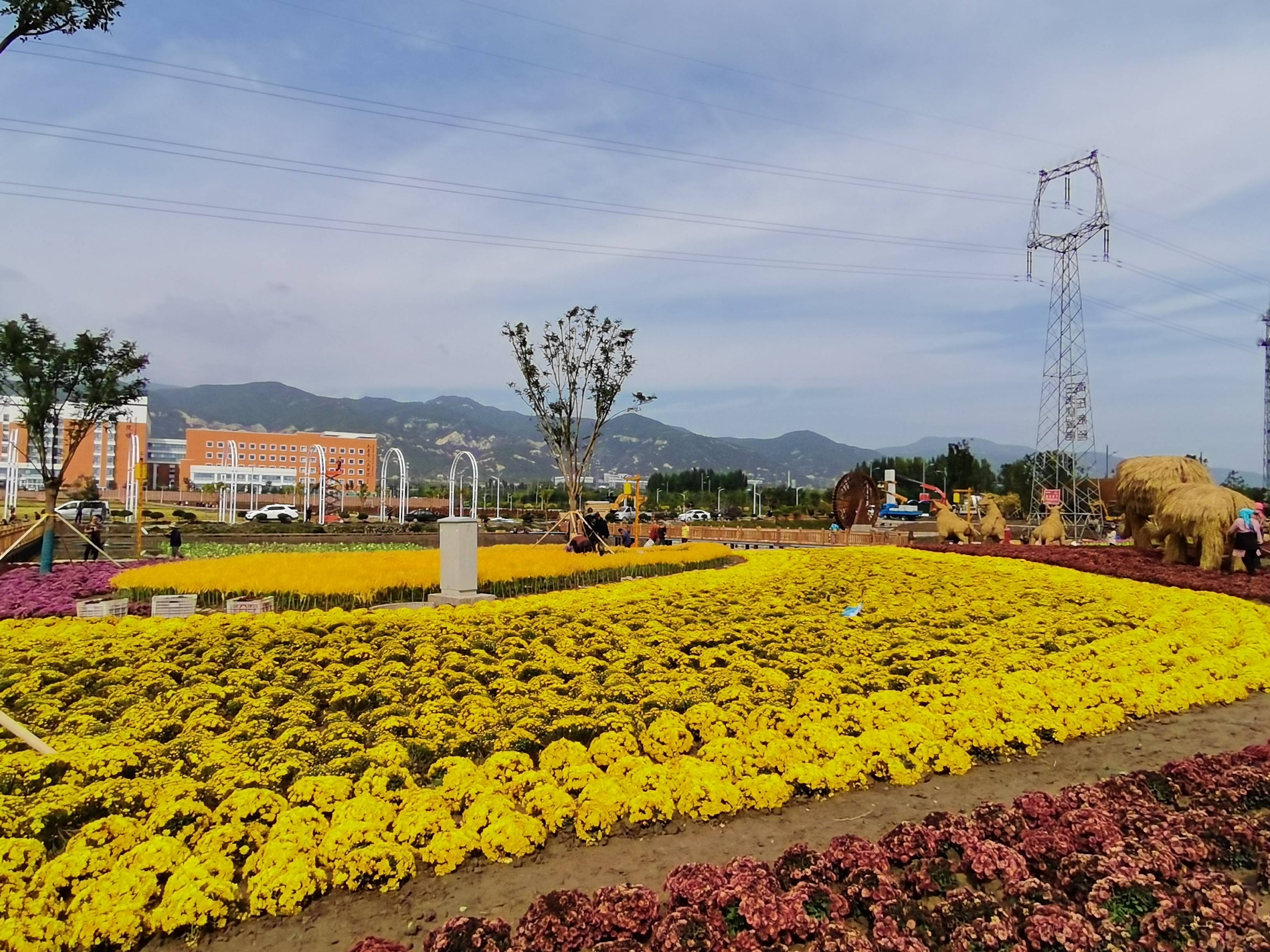 晋源稻花城(稻田公园)开园仪式暨第四届花卉艺术节将于10月1日启幕