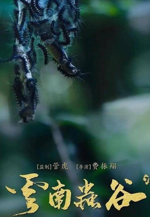 费振翔|《云南虫谷》后，又一盗墓剧将袭，全新人阵容，王燕阳胡泽仁领衔