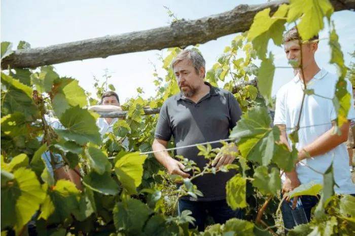 姓名|提到摩国酒庄高端线,这家必须拥有姓名!