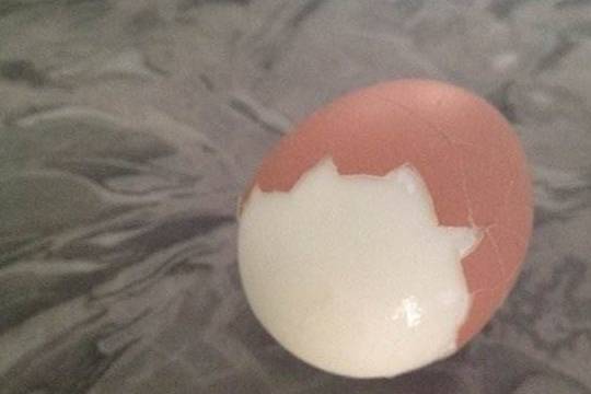 全家人|老婆为了减肥,每天过午不食,半月后大变样,让全家人傻了眼