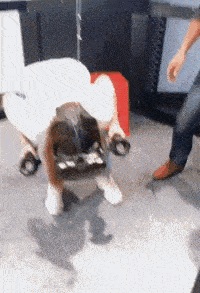 搞笑GIF：不怕學校沙雕多，就怕沙雕們住一窩 搞笑整蠱 第8张