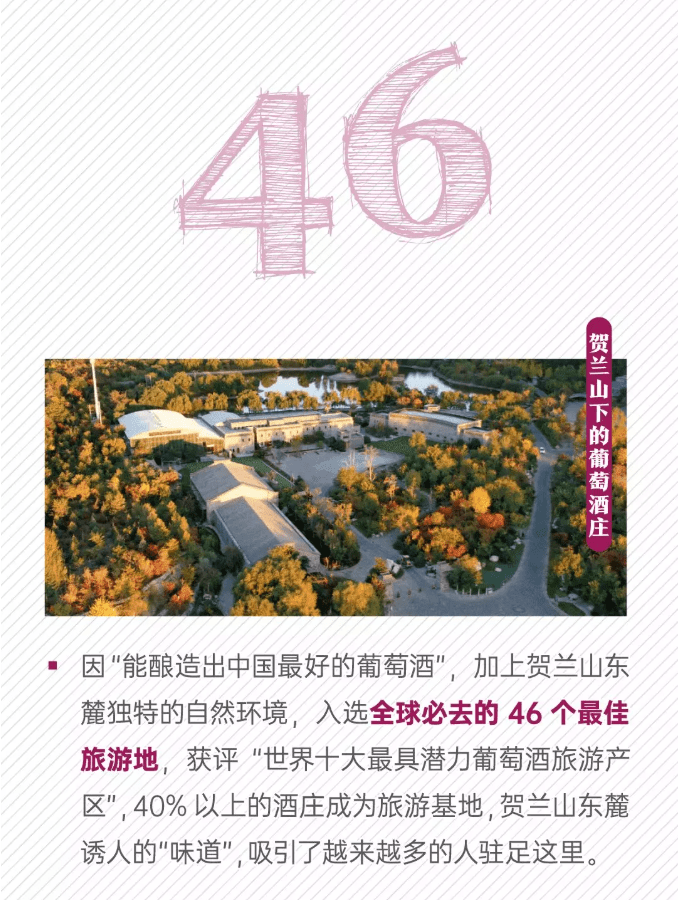 成长|宁夏葡萄酒的数字成长记！