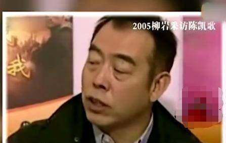 能力|陈凯歌陈飞宇父子传承的群嘲体质:能力弱心眼小、精致利己改国籍